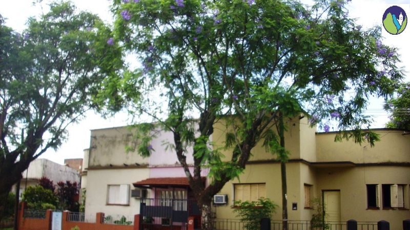 Alumnos entregan especies arbóreas en el Paseo de la Fe 