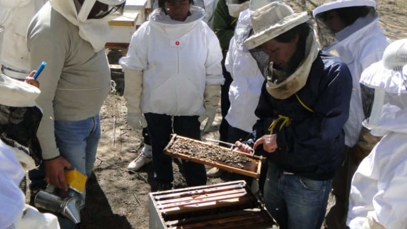 Capacitación apícola