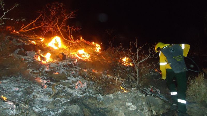 Ola incendios forestales en Catamarca