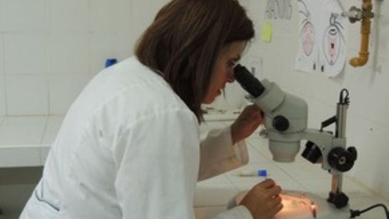 Presentan nuevos avances sobre la isquemia ocular