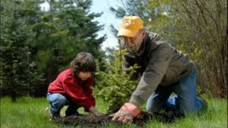 Programa forestal urbano “Yo adopto un árbol”