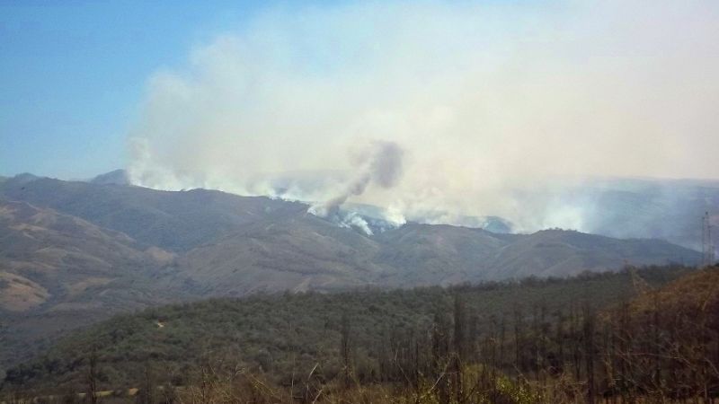 Preocupantes incendios forestales en la provincia