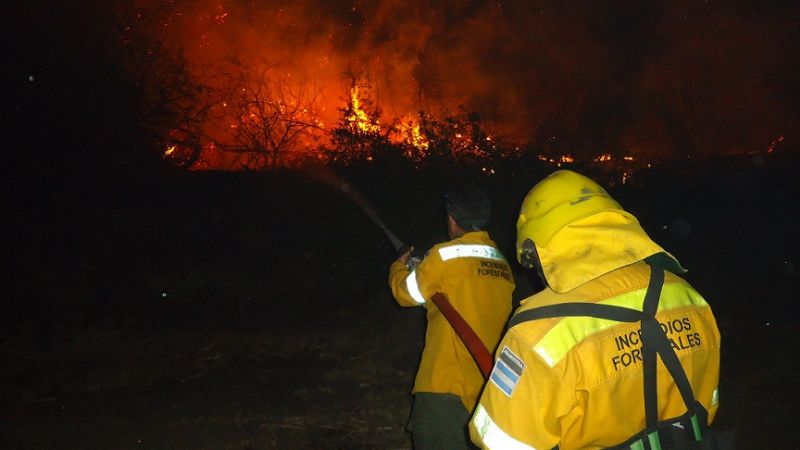 Preocupantes incendios forestales en la provincia