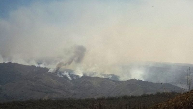 Múltiples incendios forestales afectaron a Catamarca