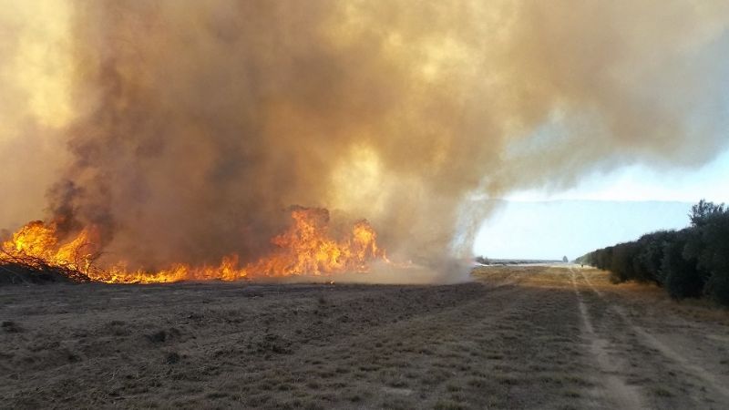 Múltiples incendios forestales afectaron a Catamarca