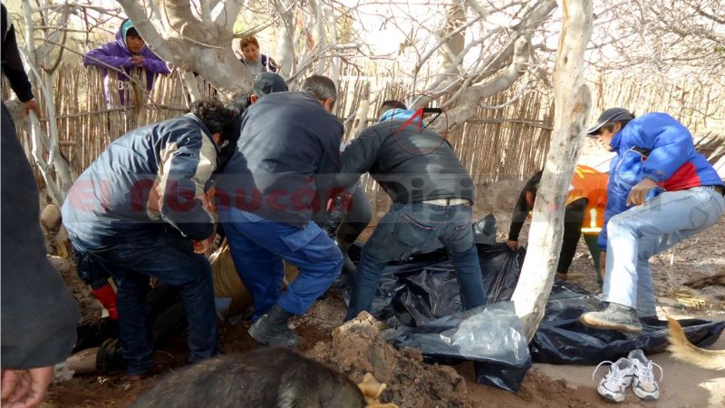 Murió ahogado por salvar un animal