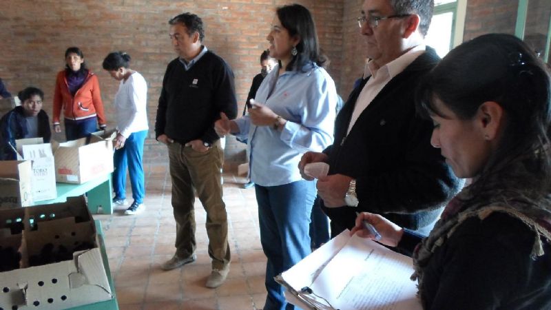 Fuerte impulso al sector agrícola ganadero en San José