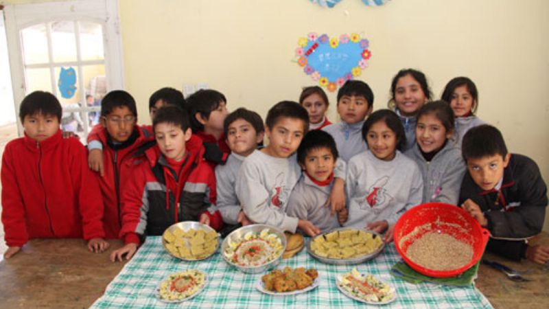 Revalorizar el cultivo de la quínoa