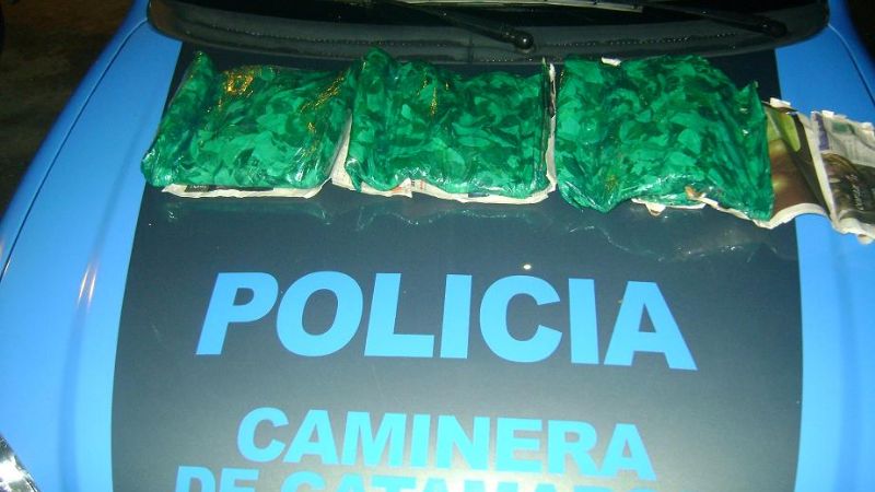 Secuestran hojas de coca en la ruta 38