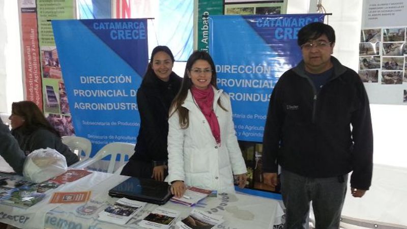 Producción presente en Palo Labrado