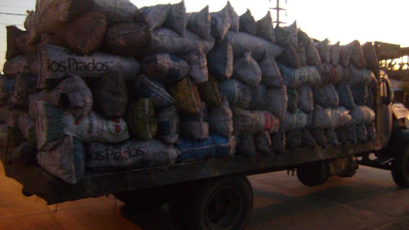 Secuestran 200 bolsas de carbón