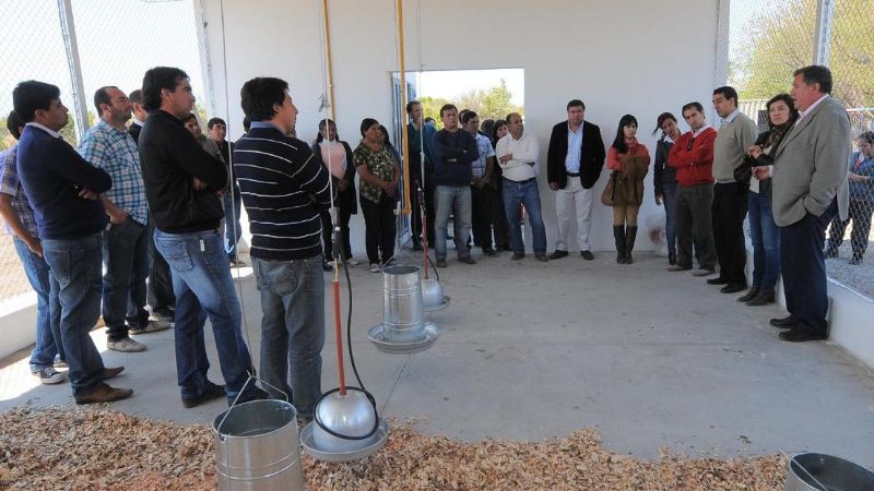 Nuevo tinglado para la producción avícola