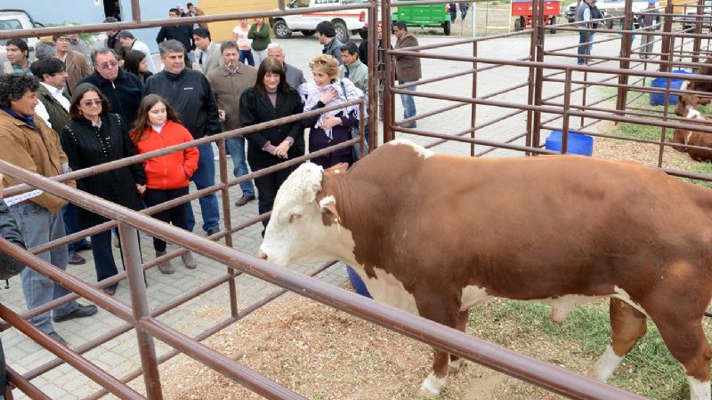 “Tenemos un interior riquísimo que por mucho tiempo estuvo olvidado”