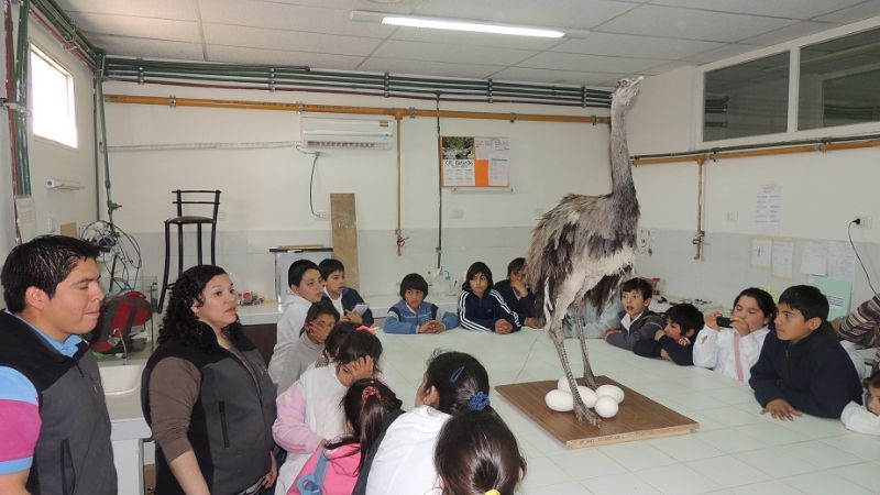 Recorridos ambientales para estudiantes