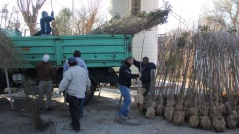Santa María se prepara para la reforestación