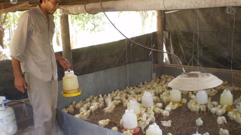 Lanzamiento de la Red Provincial de Centros de Desarrollo Emprendedor