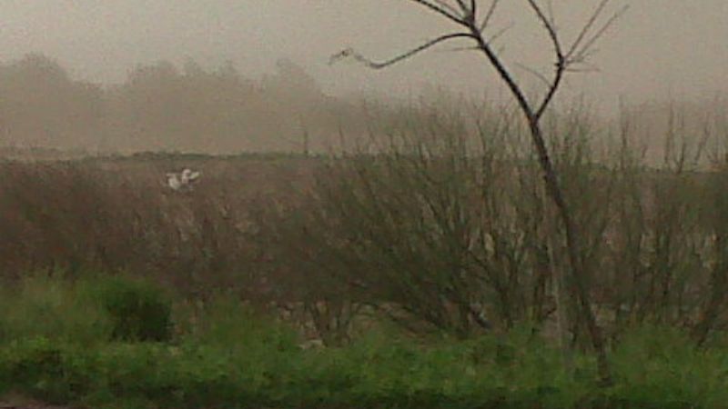 Ráfagas de casi 100 km. por hora