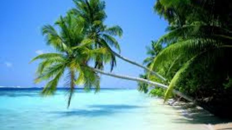 “¡Maldito mes de enero!”