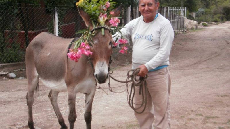 Tras el Dakar, Catamarca recibe el rally del Burro