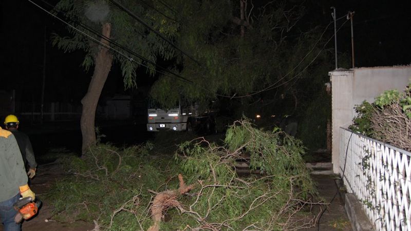 Temporal de viento y lluvia afecto al servicio eléctrico