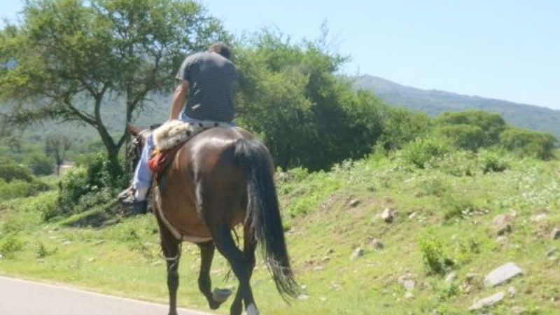 ¿Y el control de alcoholemia?