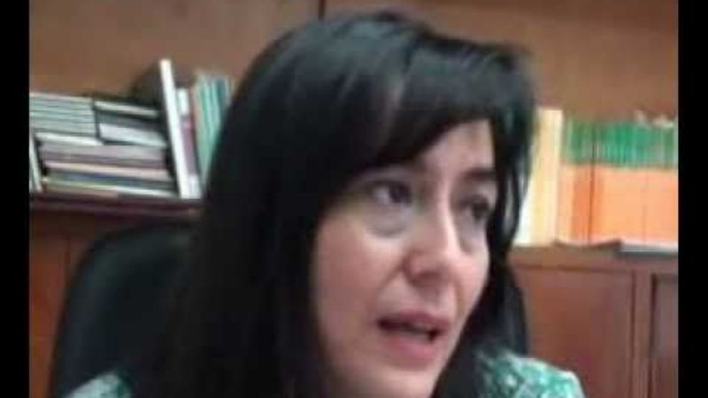 Recién desde febrero regirá la moratoria