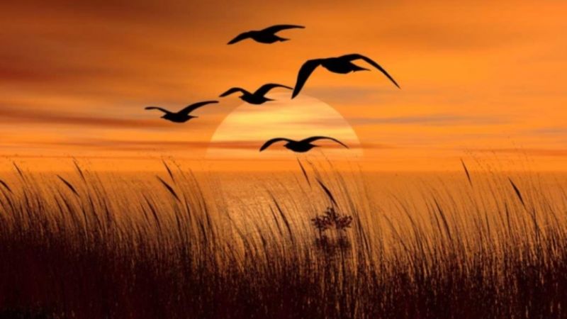 Aprendiendo a discernir para ser felices