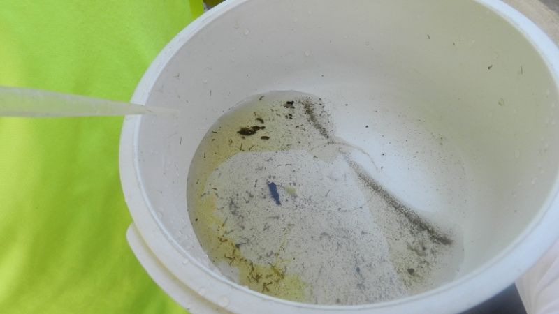 "Todos contra el dengue" en el barrio Avellaneda y Tula