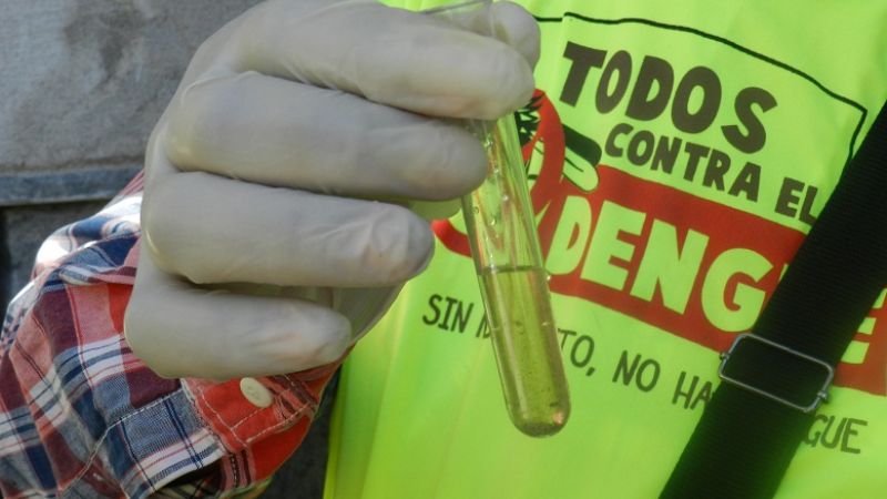 Controles para erradicar criaderos de Aedes Aegypti