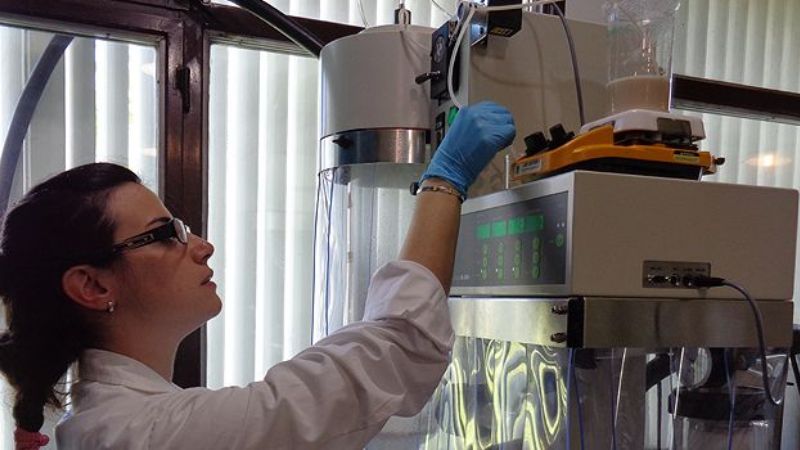 Logran desarrollar un pan fortificado con Omega-3