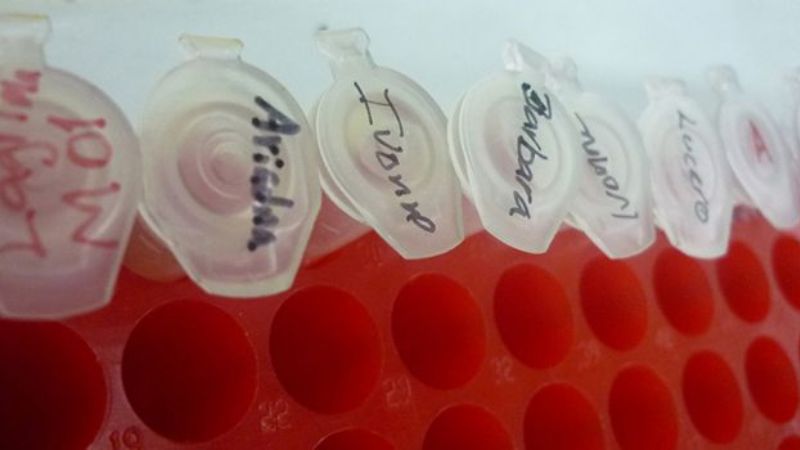 Bioarte: la otra cara de la ciencia