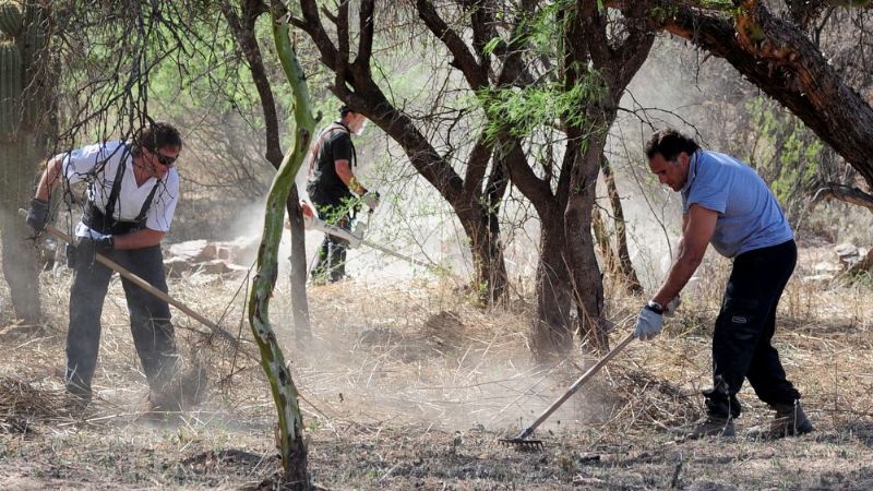 Más avances en la puesta en valor de El Shincal