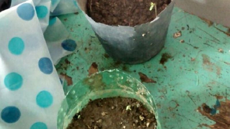 Secuestran diversos elementos y droga en Andalgalá