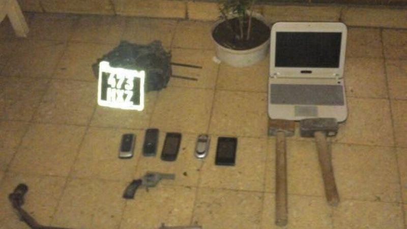 Incautan 7 plantas de marihuana en Valle Viejo