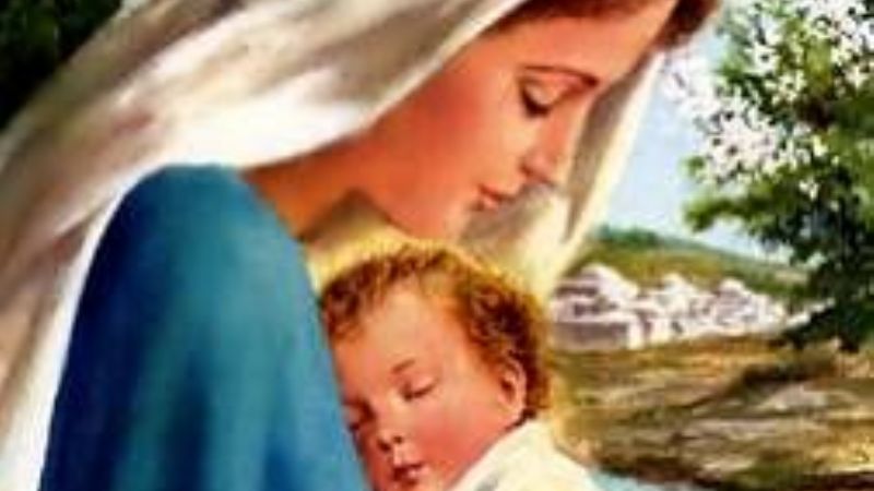 Un saludo agradecido del Obispo a todas las Mamás en su día