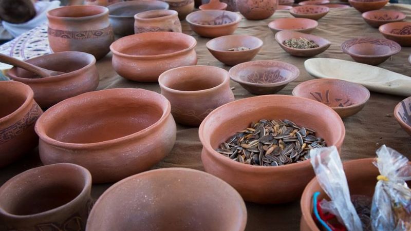 Ancasti vivió su Primera Feria de Semillas