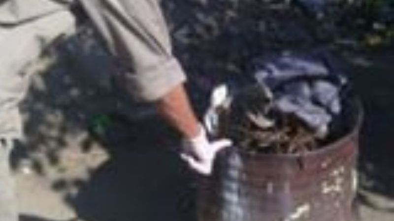 Detectan criaderos de dengue en viviendas de 15 barrios