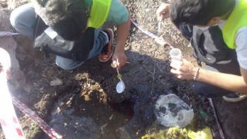 Detectan criaderos de dengue en viviendas de 15 barrios