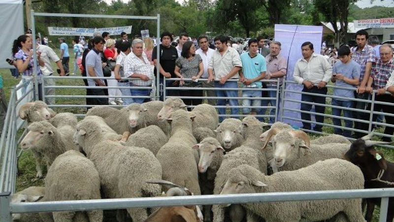 "El único modo de construir esta Provincia es hermanándonos"