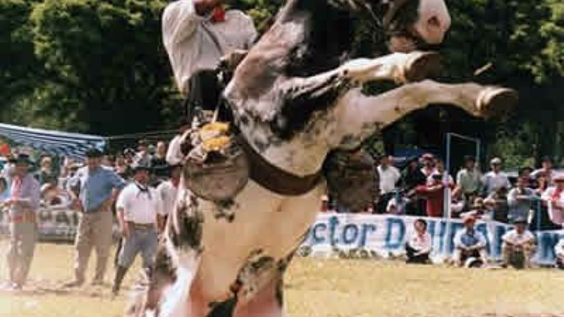 Un domingo con doma, enduro, cuadreras y patinaje