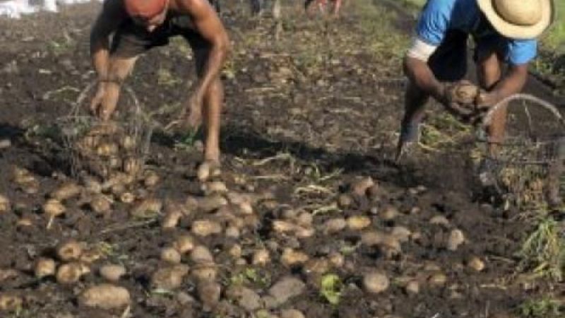 Malestar latente de ruralistas en el NOA