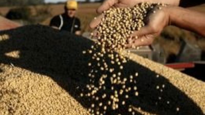 Los exportadores comenzaron a acelerar la liquidación de divisas