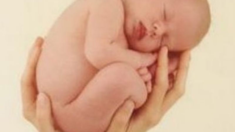 La vida humana no es descartable