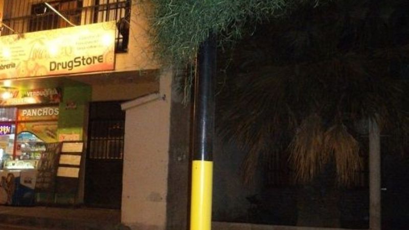 ¿Árbol o semáforo?