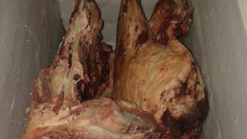 Incautan 600 kilos de carne vacuna, armas y otros elementos en Recreo