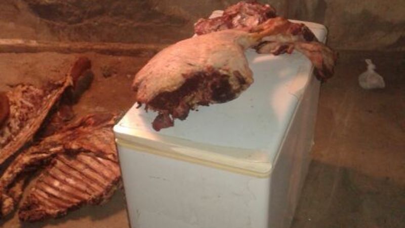 Incautan 600 kilos de carne vacuna, armas y otros elementos en Recreo