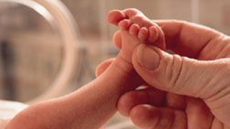 El Senado declaró de interés “Semana del Prematuro”