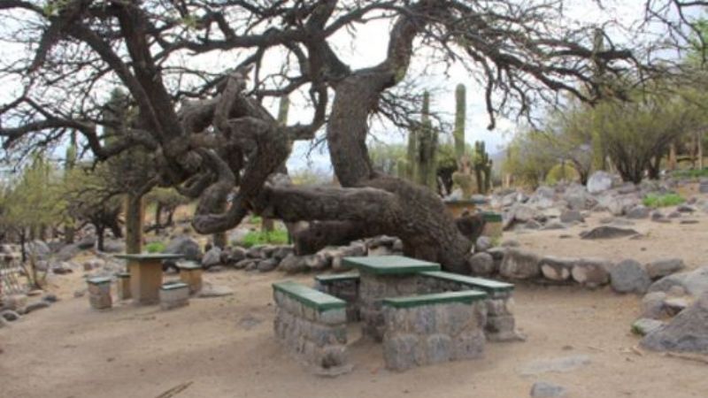 Mejoras en el camping de Caspinchango