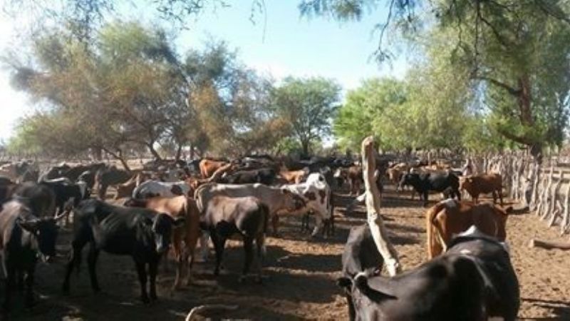Entrega de insumos sanitarios