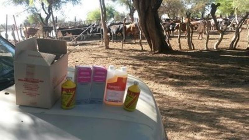 Entrega de insumos sanitarios